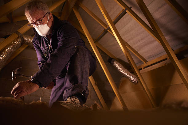 Best Specialty Insulation in Marion, TX